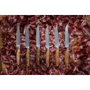 Wüsthof Amici Steakkés 12 cm-es pengével